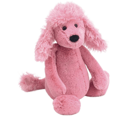 Bashful Poodle