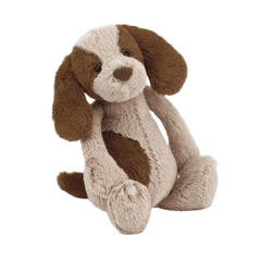 Bashful Spaniel