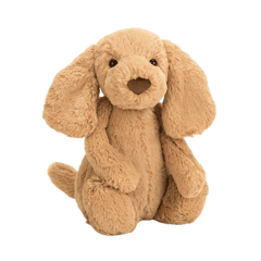 Bashful Toffee Puppy