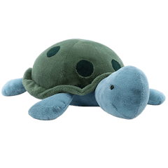 Big Spottie Turtle