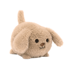 Caboodle Puppy