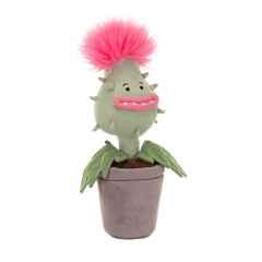 Carniflore Priscilla