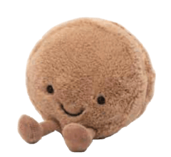 Chocolate Macaron
