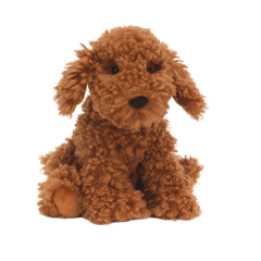 Cooper Doodle Dog