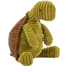 Cordy Roy Tortoise