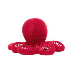 Cranberry Octopus