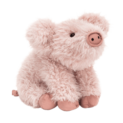 Curvie Pig