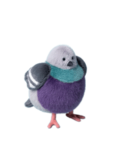 Leicester Pigeon