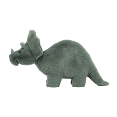 Fossilly Triceratops