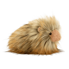 Gordon Guinea Pig
