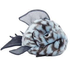 Grumpy Blue Fish