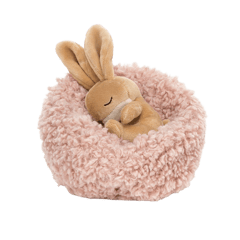 Hibernating Bunny