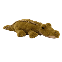 Lollybob Caiman
