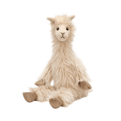 Luis Llama