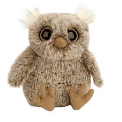 Nocturne Owl