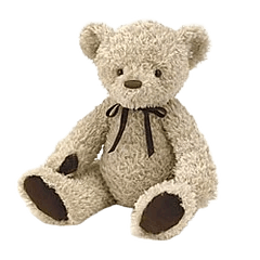 Oliver Bear