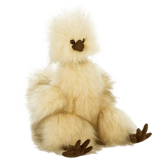 Silkie Chicken