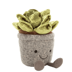 Silly Succulent Jade
