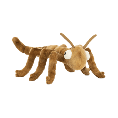 Stanley Stick Insect