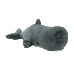 Sullivan the Sperm Whale