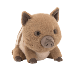 Swinley Boar
