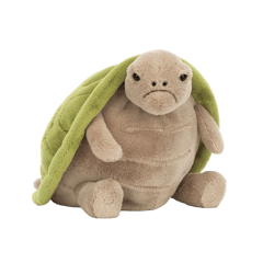 Timmy Turtle