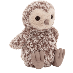 Torvill Owl Chick