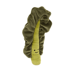 Vivacious Vegetable Kale Leaf