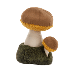 Wild Nature Boletus Mushroom