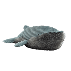 Wiley Whale