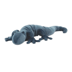Zigzag Gecko