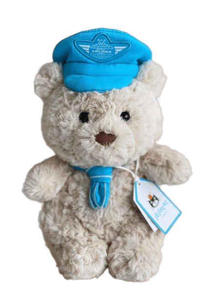 Bartholomew Bear Junior Pilot