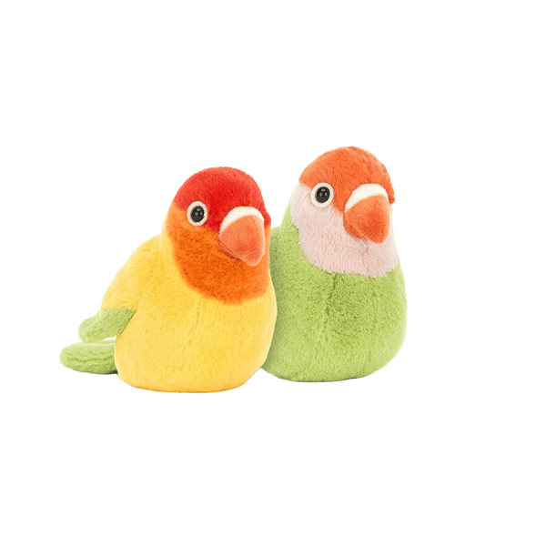 A Pair of Lovely Lovebirds