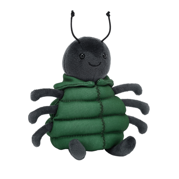 Anoraknid Black Spider