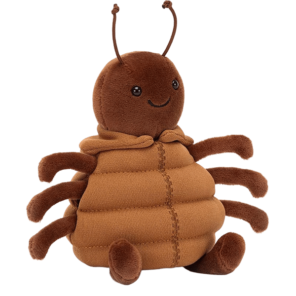 Anoraknid Brown Spider