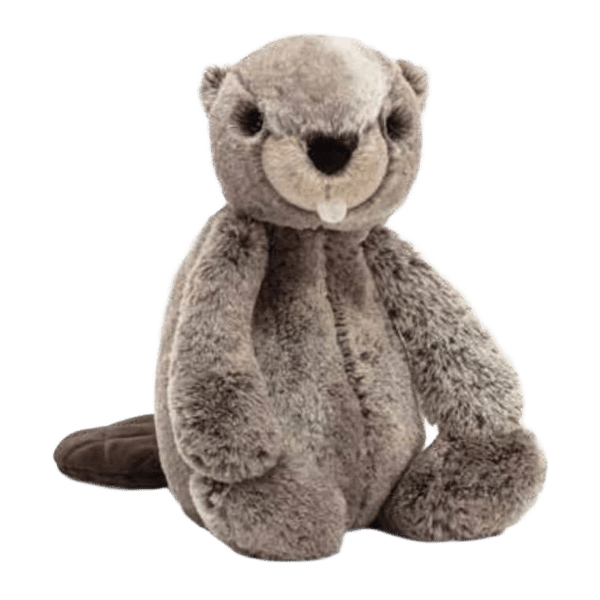 Bashful Beaver