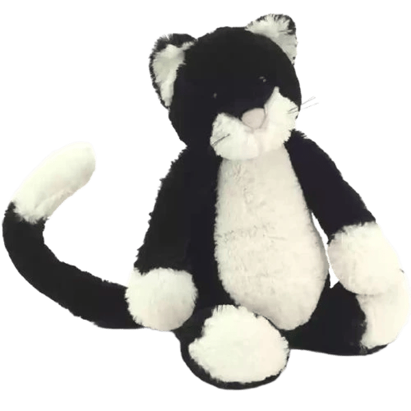 Bashful Black and White Kitten