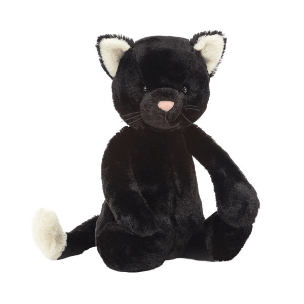 Bashful Black Kitten