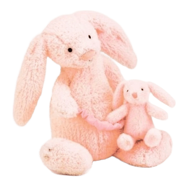 Bashful Bunny Pink Musical Pull
