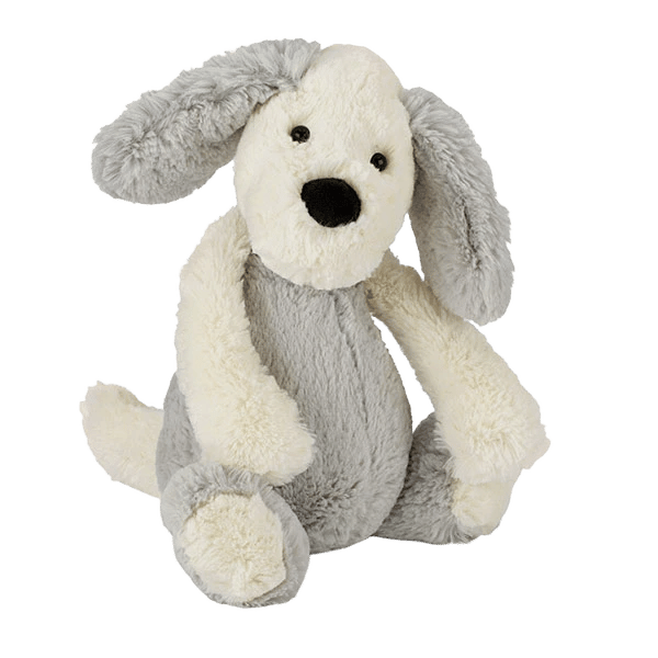 Bashful Chaucer Dog