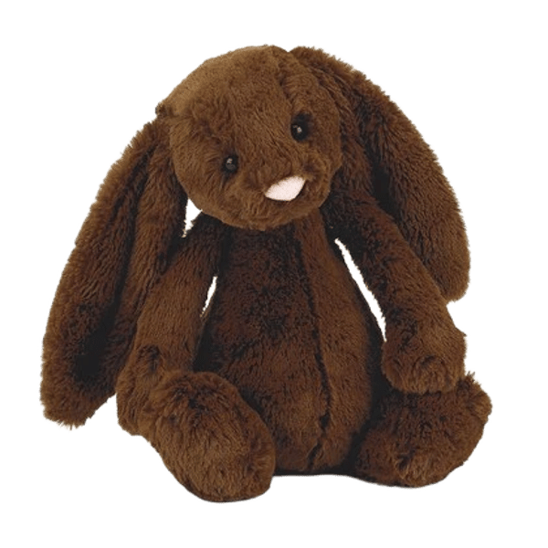 Bashful Chocolate Bunny