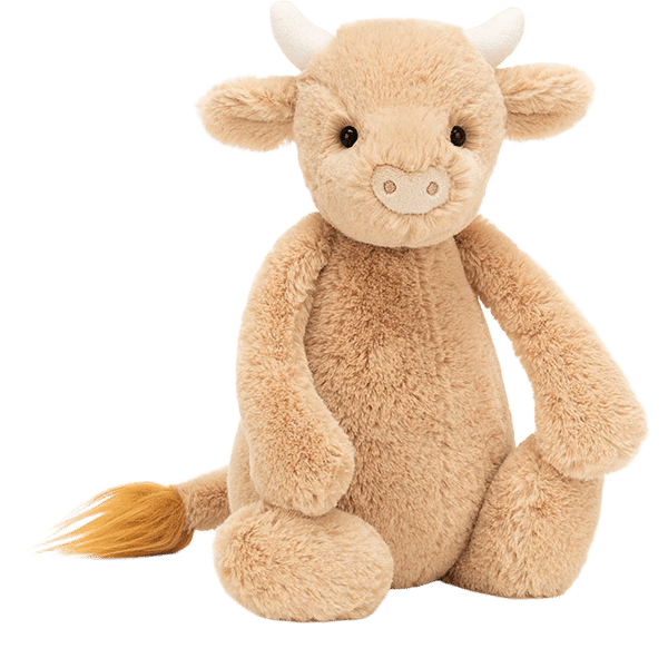 Bashful Cow