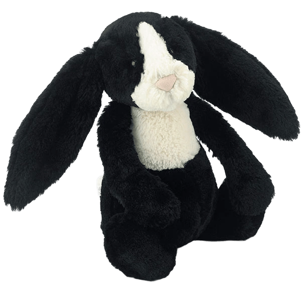 Bashful Dutch Bunny