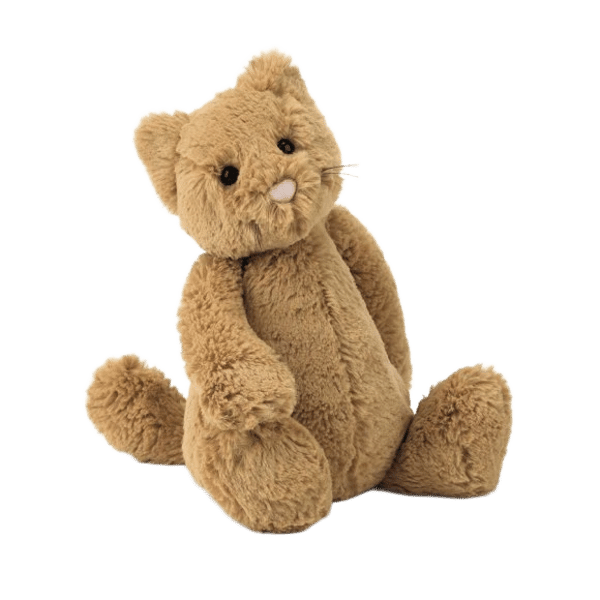 Bashful Ginger Cat