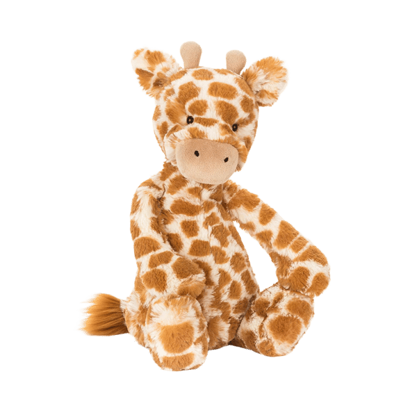 Bashful Giraffe