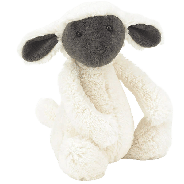 Bashful Greyface Lamb