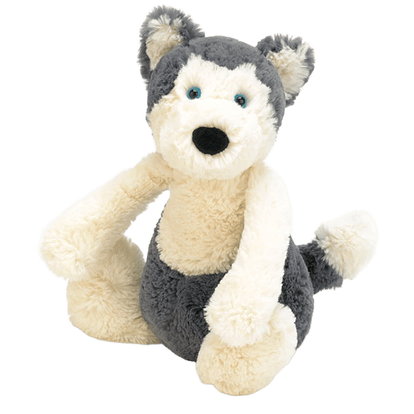 Bashful Huskie