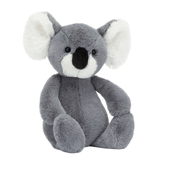 Bashful Koala 2022