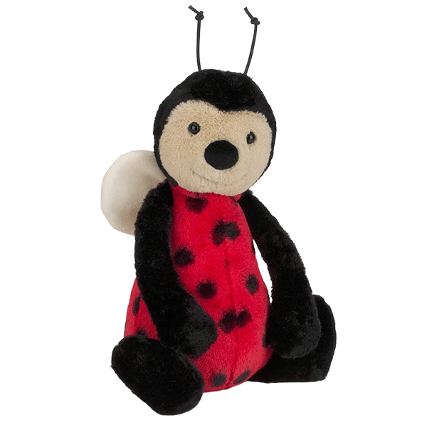 Bashful Ladybird