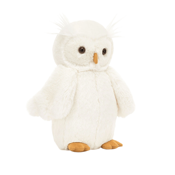 Bashful Owl